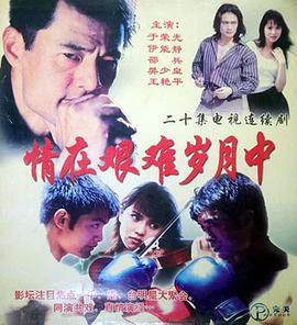 情在艰难岁月中封面图