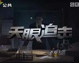 天眼追击封面图