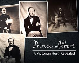 阿尔伯特亲王：揭秘维多利亚时代的英雄封面图