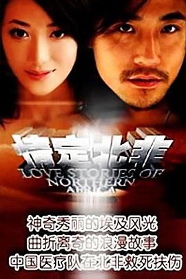 情定北非封面图