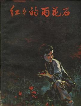 红红的雨花石封面图