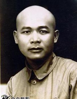 大将徐海东封面图