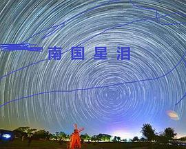 南国星泪封面图