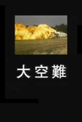 凤凰大视野-大空难封面图