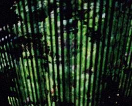 Revolving Rounds封面图