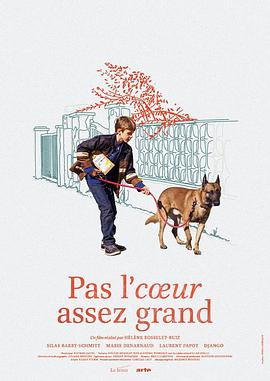 心不够大封面图