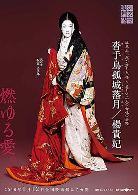 电影歌舞伎 沓手鸟孤城落月封面图