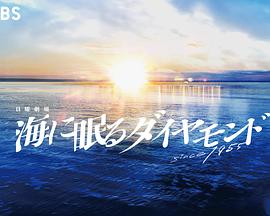 海中沉睡的钻石封面图