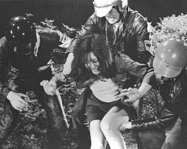 ネオンくらげ封面图