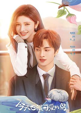 今天也很可爱的鸟封面图