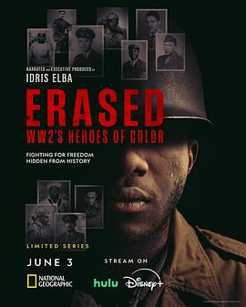 Erased: WW2&#39;s Heroes of Color Season 1封面图