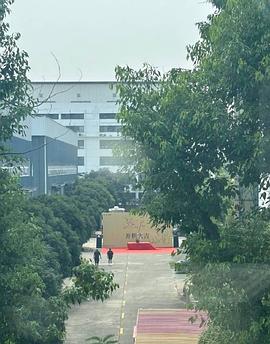 独一无二封面图