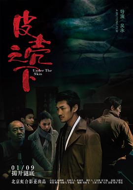 皮壳之下封面图