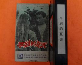 过早的夏天封面图