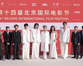 寻找1999的月老封面图