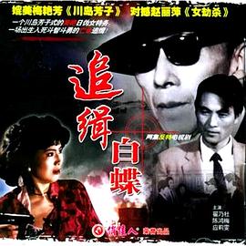 追缉白蝶封面图