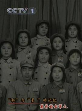 “杠”与“星”的记忆：离开的女军人封面图