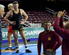 不可阻挡封面图