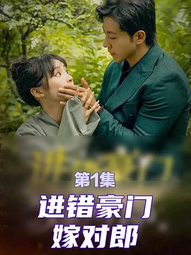 进错豪门嫁对郎封面图