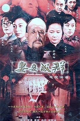 妻妾成群封面图