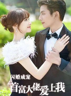 闪婚成宠首富大佬爱上我封面图