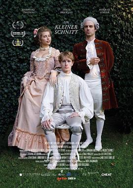 Ein kleiner Schnitt封面图