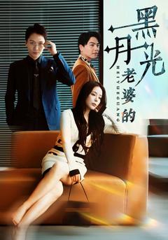 老婆的黑月光封面图