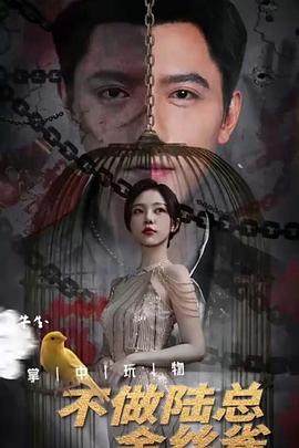 掌中玩物，不做陆总金丝雀封面图