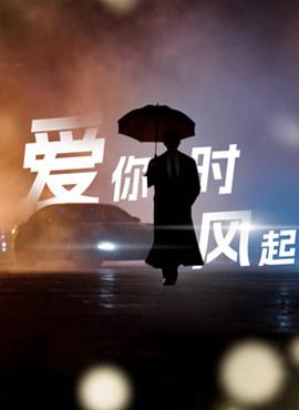 爱你时风起封面图