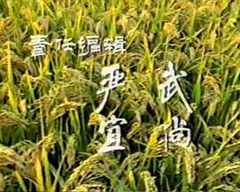 在被告席上封面图