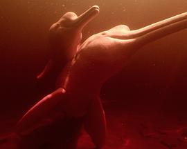 我们的水世界封面图