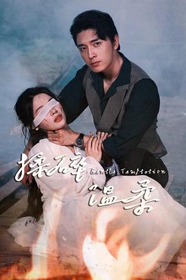 揉碎温柔封面图