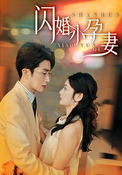 闪婚小孕妻封面图