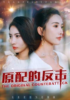 原配的反击封面图