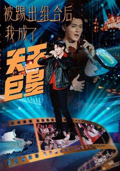被踢出组合后，我成了天王巨星封面图