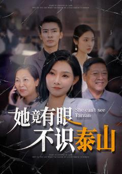 她竟有眼不识泰山封面图