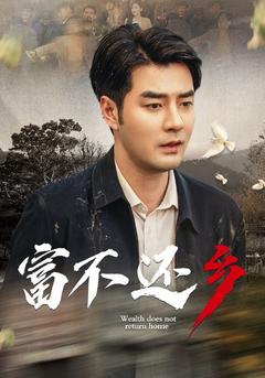 富不还乡封面图