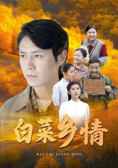 白菜乡情封面图