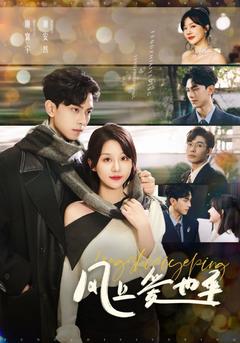 风止爱也平封面图