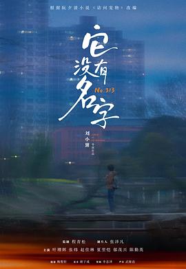 它没有名字封面图