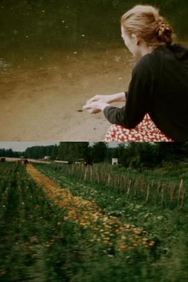 在沿线上兜风封面图