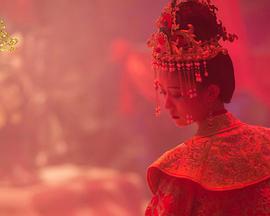 肥肥的狐狸封面图