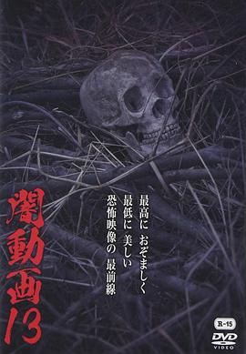 黑暗视频13封面图