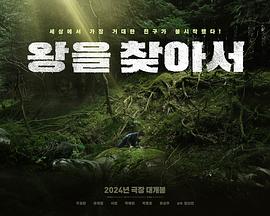 寻找国王封面图