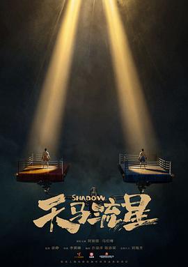 天马流星封面图