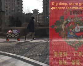 女男同性恋离婚记封面图