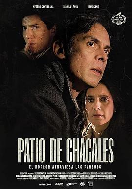 虎穴狼窝封面图