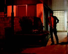 夜来风雨声封面图