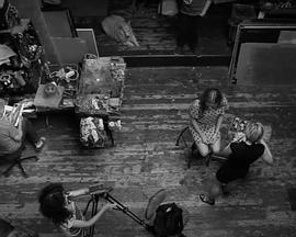 韦罗奇卡封面图