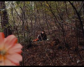 就是那样封面图